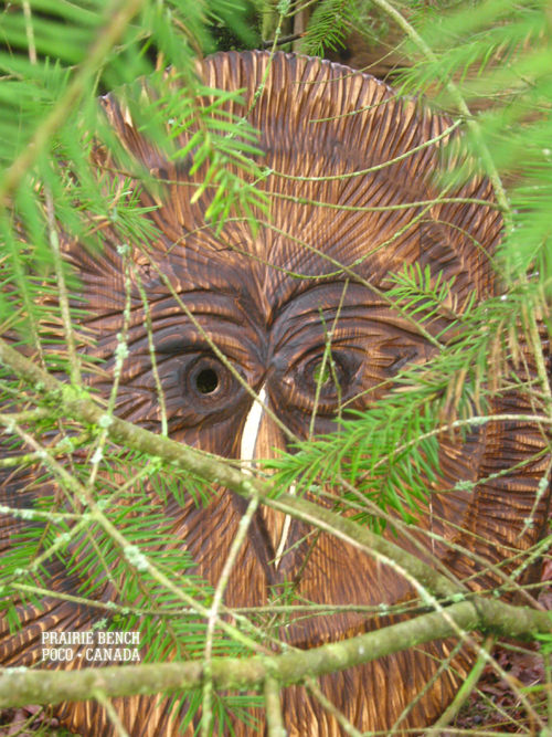 prairie bench owl mask 273 1
